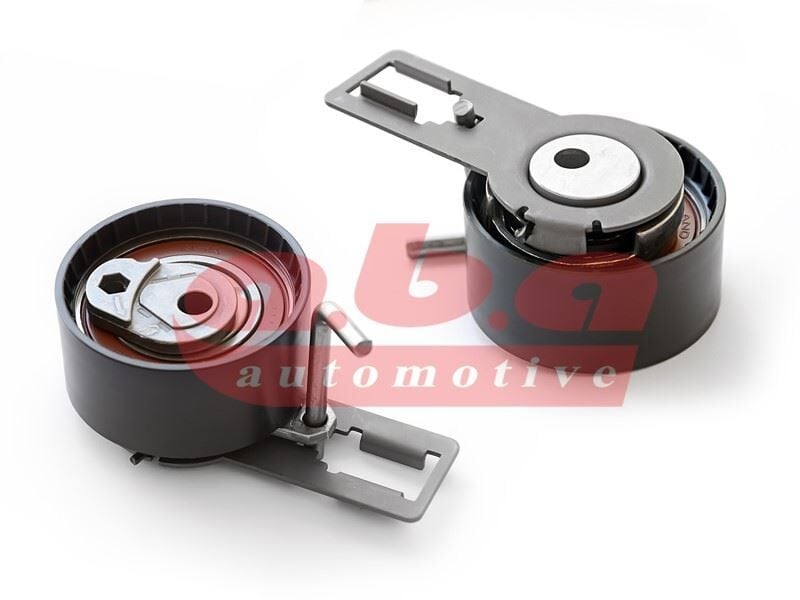 EKSANTRİK GERGİ RULMANI P207 1.4HDI 06 1.6HDI 09