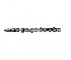 EKSANTRİK MİLİ EGZOZ LGN II-MGN II 1.6 16V OKUYUCULU ÇELİK
