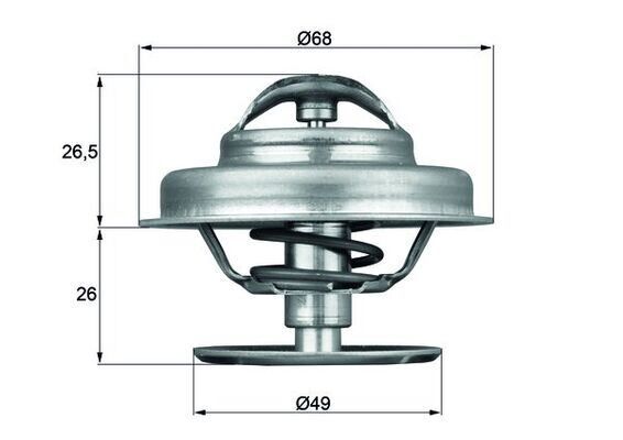 TERMOSTAT RENAULT 25 B29 89C