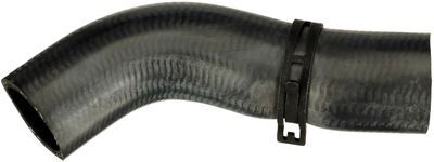 05-5596 CURVED HOSE