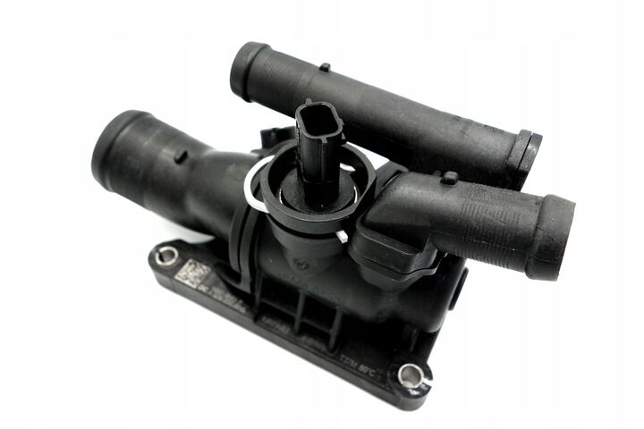 TERMOSTAT RENAULT MEGANE IV-KADJAR-DUSTER 115BG EURO 6 110606973R