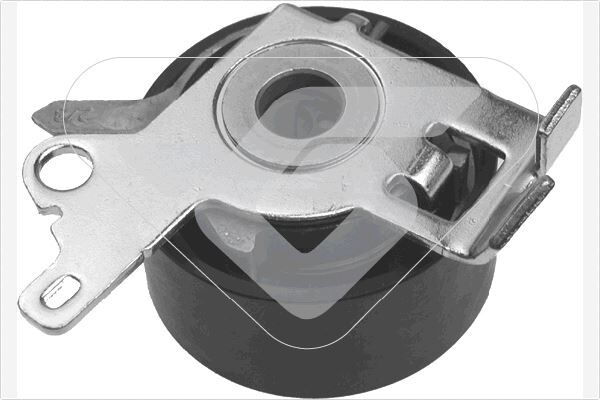 EKSANTRİK GERGİ RULMANI P206-307-406-407-607-806-807-EXPERT-C4-C5-C8-XSARA-SCUDO 1.8 16V-2.0 16V-2.2