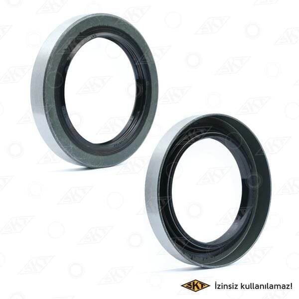 ARKA PORYA KEÇESİ İÇ STAREX H1 65x92x13