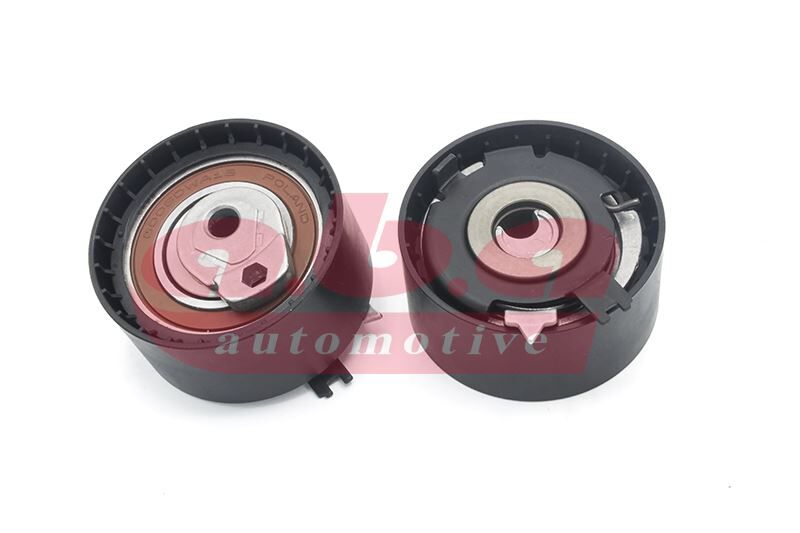EKSANTRİK GERGİ RULMANI CLIO III-LGN II -III-MGN II III-FULENCE-MODUS-SCENIC II-III 1.6 16V K4M 804