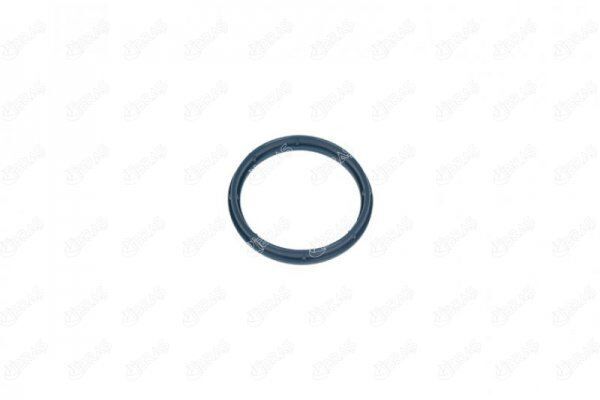 EMME MANIFOLD CONTASI CITROEN JUMPER PLATFORM ŞASI RELAY 2.2 HDI 120