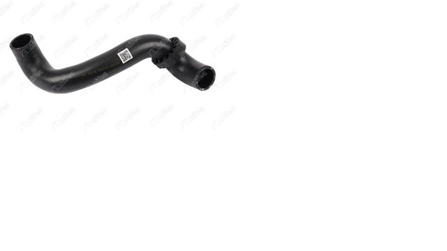 RADYATOR HORTUMU ALT MERCEDES E-CLASS W210 S210 99 03