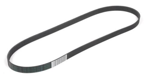 KANALLI KAYIS 6PK1125 KANGOO III 1.5 K9K