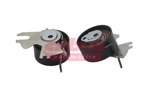 EKSANTRİK GERGİ RULMANI P308-P407-P508-P807-P3008-EXPERT-C4-C5-C8-DS4-DS5-JUMPY-FOCUS-CMAX 2.0HDİ