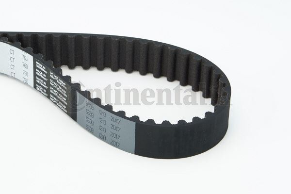 TRİGER KAYIŞI 148x254 RENAULT 9 1.8 16V 89-97 CLIO 1.8 16V 90-96 MGN 2.0 16V 96-99 5244XS