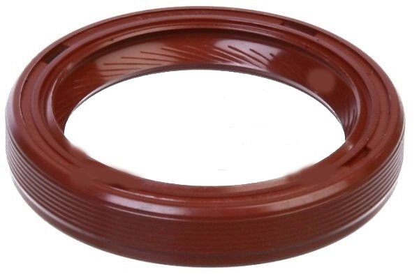 EKSANTRİK ARKA KAPAK KEÇESİ EXPRESS-LGN-R9-R21-R19 1.6-1.9 DZL 30x40x7