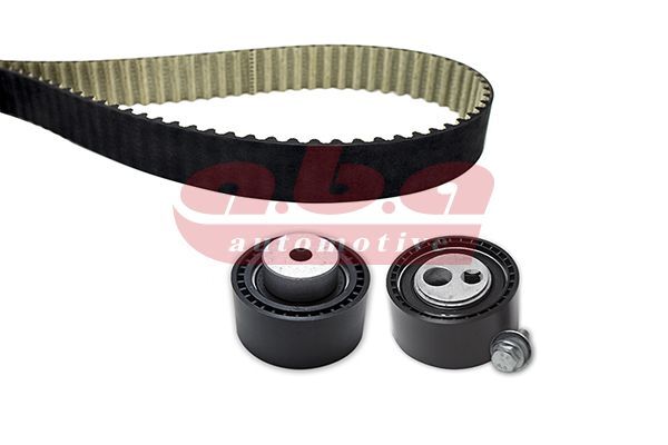 EKSANTRİK GERGİ KİTİ P406-P607-P807-C5-C8 2.2 HDI