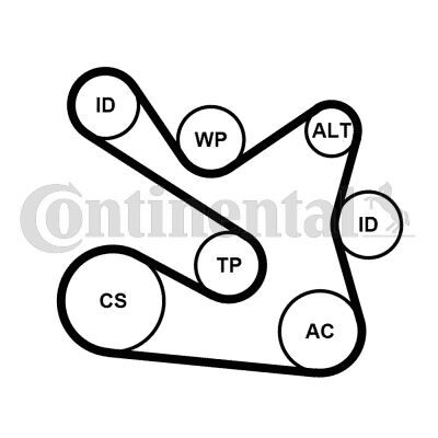 Multi V-Belt Kit Water Pump