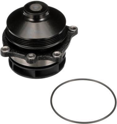 WP5043HD WATERPUMP