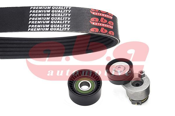 KANALLI V KAYIŞ SETİ NISSAN PRIMASTAR 1.9 dCi 100-dCi 100 01