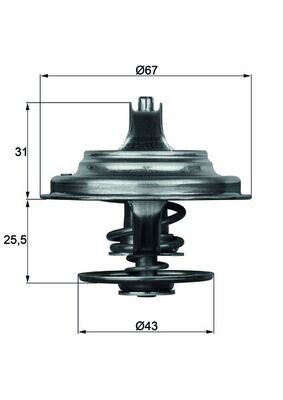 TERMOSTAT Thermostat insert