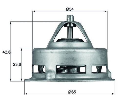 TERMOSTAT Thermostat insert