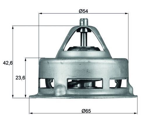TERMOSTAT Thermostat insert