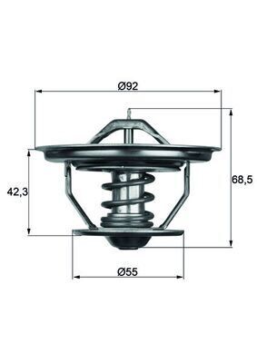 TERMOSTAT Thermostat insert