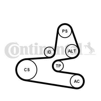 ALTERNATÖR V KAYIŞ GERGİ KİTİ PARTNER 96- -P206 00- -BERLINGO 96- -XSARA 97-05 1.4-1.4 16V