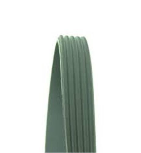 KANALLI KAYIŞ MAZD MITS HYUN G5PK1345 58393