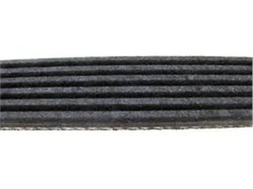 KANALLI KAYIŞ P208-P308-P508-P3008-P5008-EXPERT-JUMPY-C4-C5-DS3-DS5 1.6 THP BOXER-JUMPER-DUCATO 2.5 SOLENZA-SCUDO-ASTRA F-CORSA B-CLIO I-II-KNG-CORDOBA
