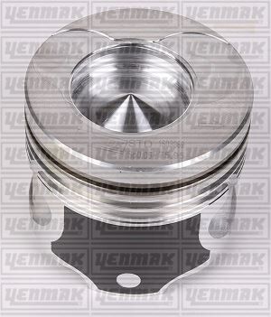 MOTOR PİSTON SEGMAN STD 25PİM CLIO-KNG-SYMBOL 1.5 DCI
