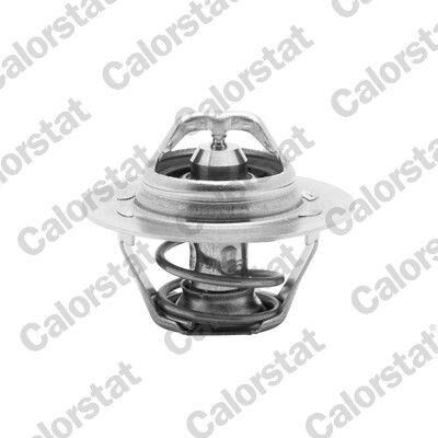 TERMOSTAT 89C KANGOO 1.9D-MEGANE 1.6-2.0-LAGUNA 1.8-2.0-P106-P306-P405 V2141