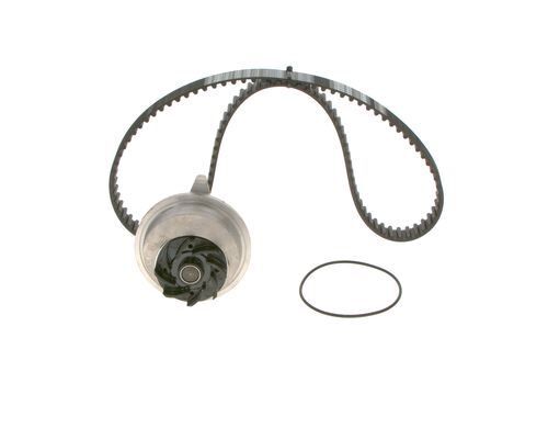 SU POMPALI TRİGER SETİ WASSERPUMPEN-SET
