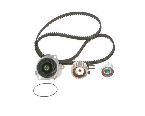 SU POMPALI TRİGER SETİ WASSERPUMPEN-SET