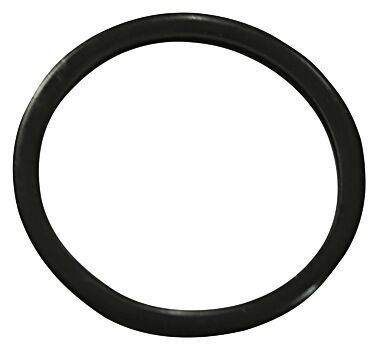 TERMOSTAT ORİNGİ CLIO-R19