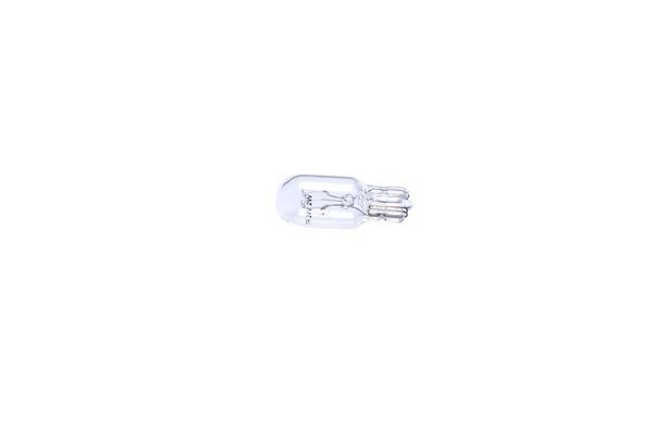 AMPUL - TRUCKLİGHT - 24 V - - - 2 W - W2.1X9.5D