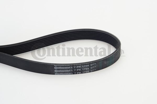 KANALLI V KAYIŞI MEGANE II 02 SCENIC 02 LAGUNA III 07 15 KOLEOS I 08 15 NISSAN X-TRAIL II 07 15 QASHQAI 07 13 X-TRAIL III 16 2.0 dCi 7PK1705