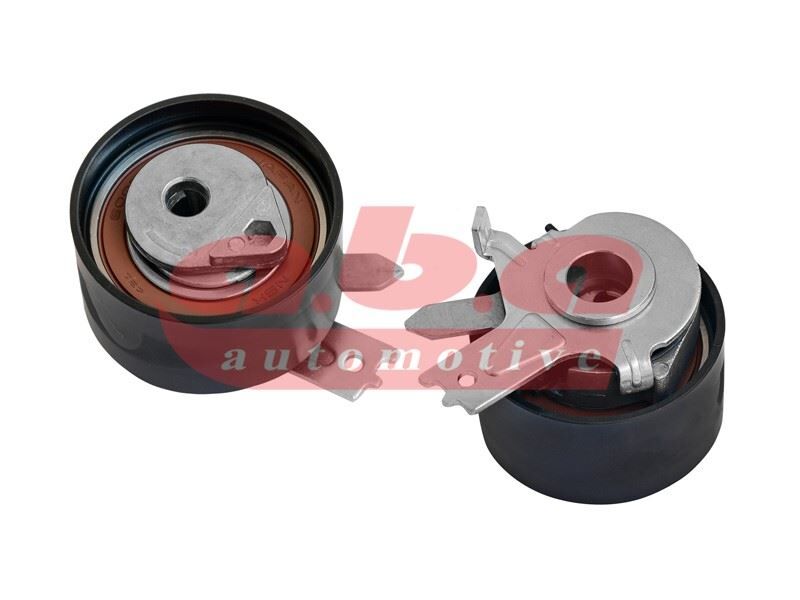 x EKSANTRİK GERGİ RULMANI KNG-CLIO II-MGN II-LGN III-FLUENCE-MODUS 1.5 DCI K9K 796