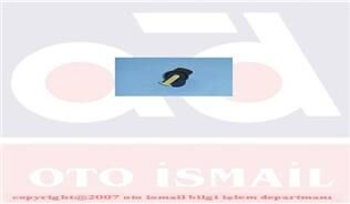 TEVZİ MAKARASI R11 FLASH 1.7 ORJ.ÜRÜN