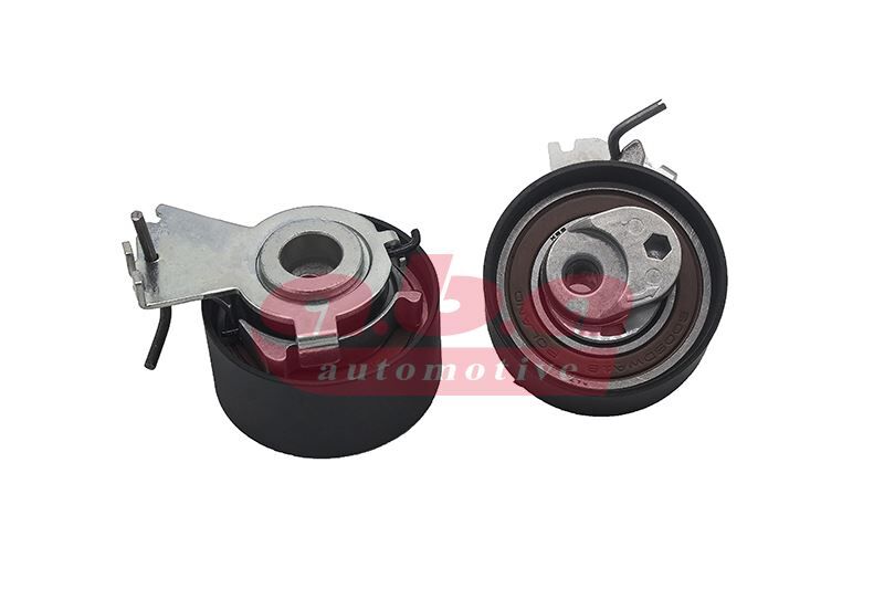 EKSANTRİK GERGİ RULMANI P206-207-307 03- -1007 05- -C2 06- -C3 03- -C4 04- 1.4 16V